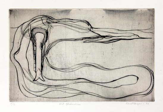 Landslag  við ströndina