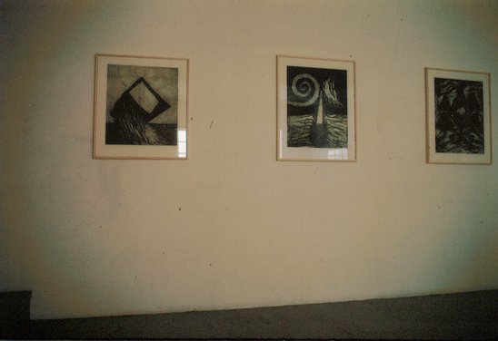 Nýlistasafnið 1987