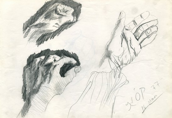 Teikniæfing, vinstri hönd