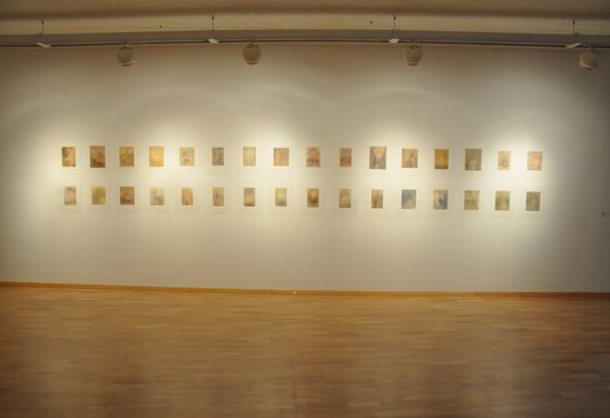 Hraun og mynd, Hafnarborg 2016