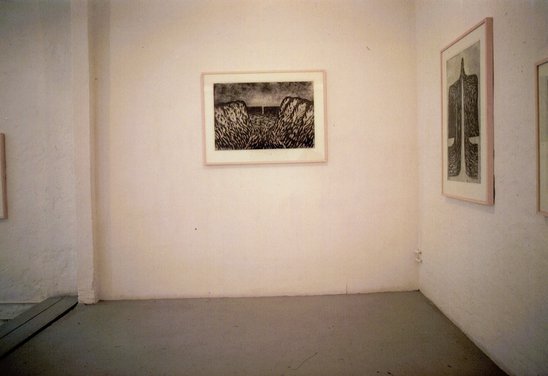 Nýlistasafnið 1987