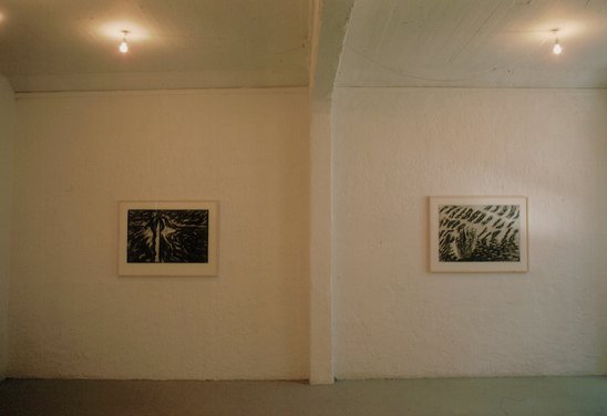 Nýlistasafnið 1987