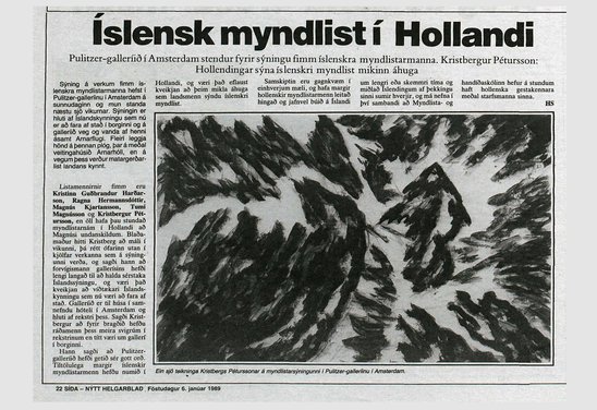 Vijf Ijslandse Kunstenaars