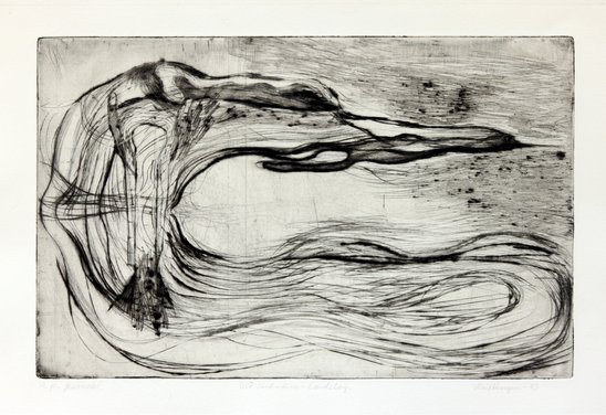 Landslag  við ströndina