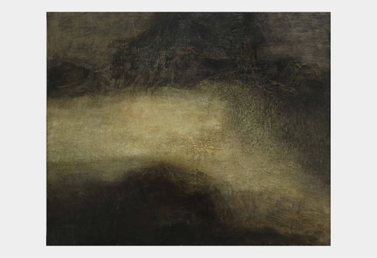 Untitled. Oil on canvas 100 x 120 cm. 2012