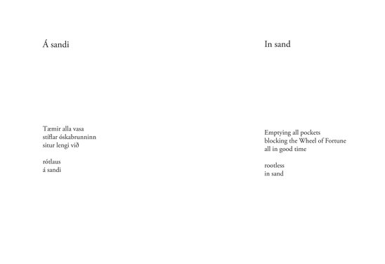 Á sandi / In sand